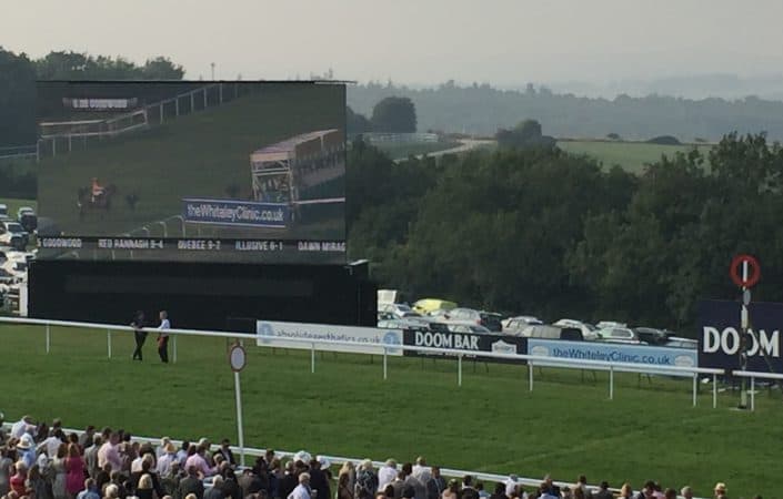 Horses being loaded into the starting stalls - The Whiteley Clinic Stakes Handicap Goodwood August 2016