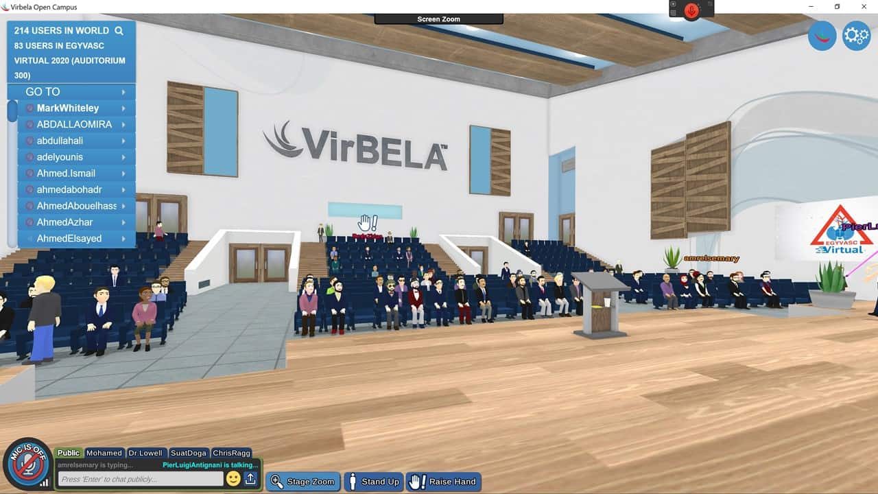 1st Virtual Veins Conference in the World EgyVasc 2020 &ndash; View from the stage