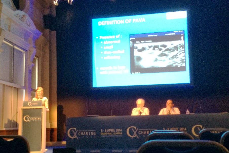 Alexandra Ostler presenting PAVA