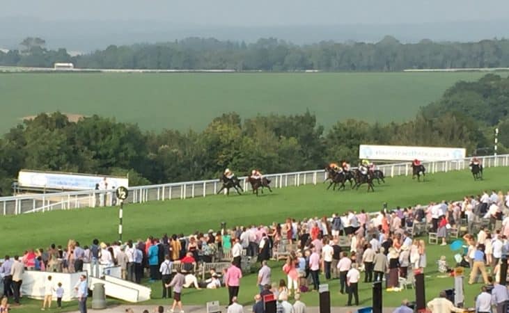 Half a furlong to go - The Whiteley Clinic Stakes Handicap Goodwood August 2016