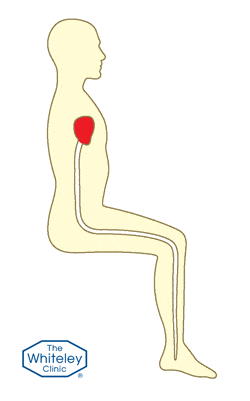 Animation of venous pump when moving foot at rest