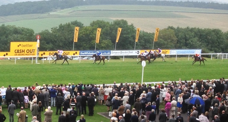 Prestige Stakes 2013