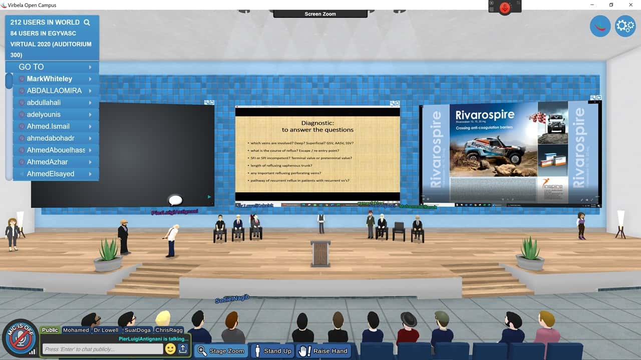 1st Virtual Veins Conference in the World EgyVasc 2020 &ndash; View of the stage