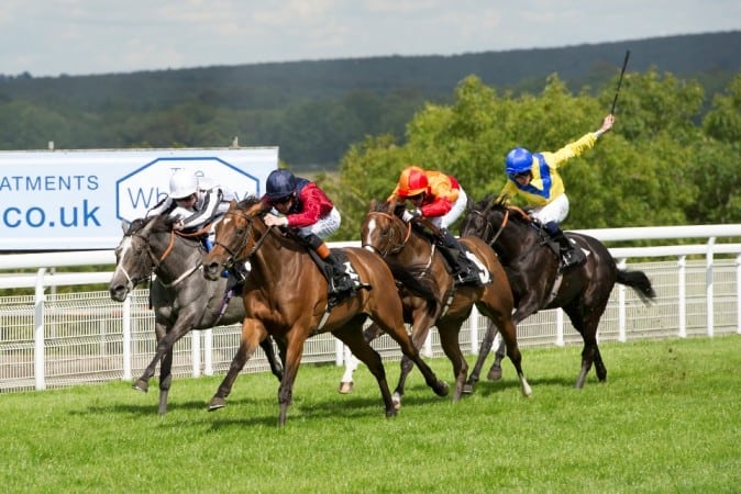 Malabar winning The Whiteley Clinic Prestige Stakes at Goodwood 23rd Aug 2014